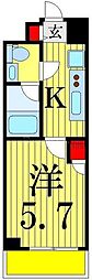 ライジングプレイス堀切