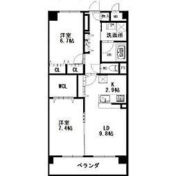 プリマヴェーラ 202