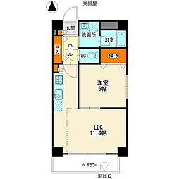 アムール南分 403