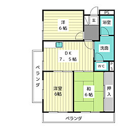 シェモア
