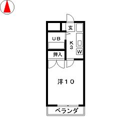 ラッキーキャット