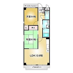 ピーナッツボーイII 503