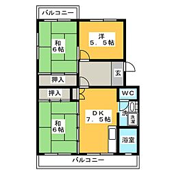 エストゥペンダ 203