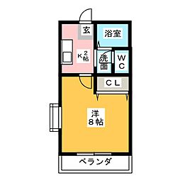 シャンボール花水木