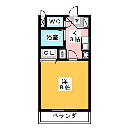 ビダフェリス加藤