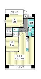 MottiIII
