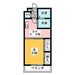 サンフィットスミダ