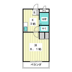 カムトゥルー