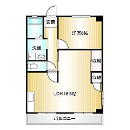 ラフィーネカニエ