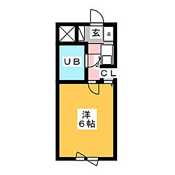 グレイス松降