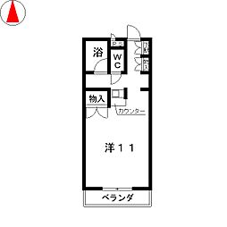 ソフィアライト