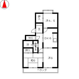 サンライズベル
