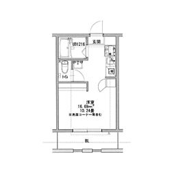 セントポーリア