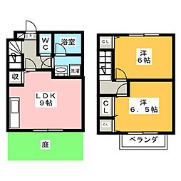 花水木