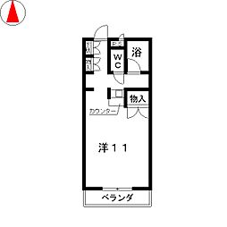 ソフィアライト