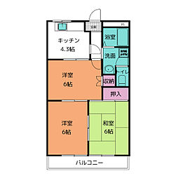 朝宮グリーンライブ