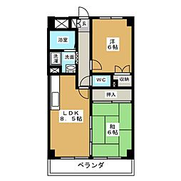 藤浪カジウラ
