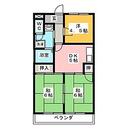 サキュレント樹　Ｂ