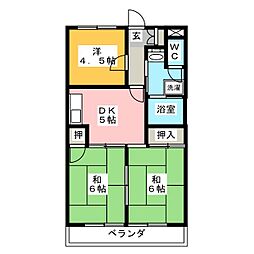 サキュレント樹　Ｂ