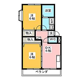 ラベンダー