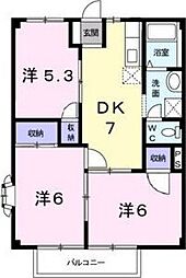 ニューシティ司 205
