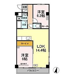 テネラメンテ 205