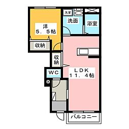 正明寺　花水木