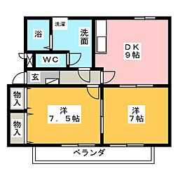 アピエス5