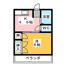 サープラスワンピリカ