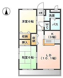 ひまわり