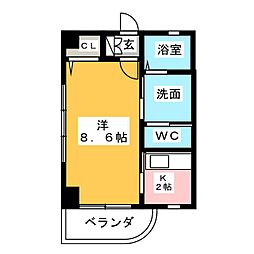 杏