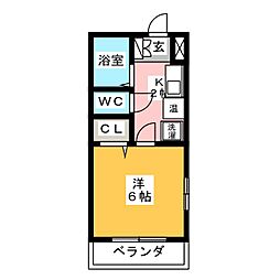 花水木