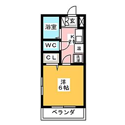 花水木