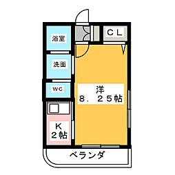 杏