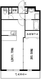 サウス・キアラ