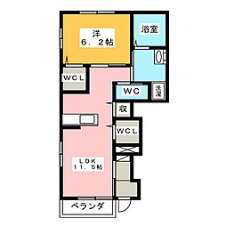 シーダー初生