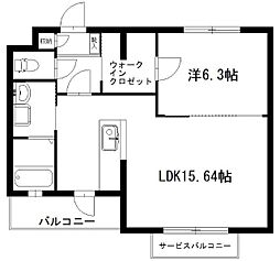 カシオペア