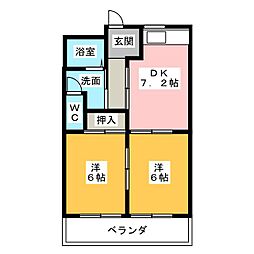 レクセル亀の甲