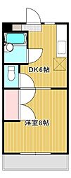 シャンブル24