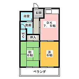 レクセル亀の甲