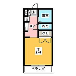 コスモス24