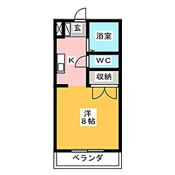 コスモス24