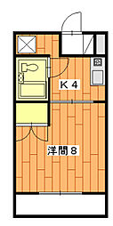フレッシュハイツ