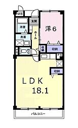 ノースクワイル5