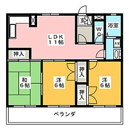 パセール精華