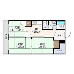 メゾンコーエイ