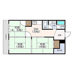 メゾンコーエイ