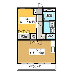 ベルグラース・Ｔ