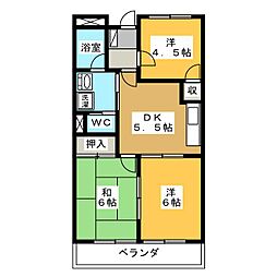 グリンピア花水木