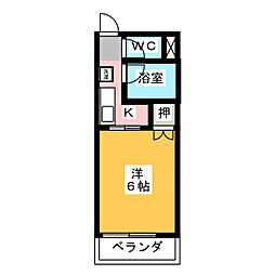 サープラスワン  アネックス光